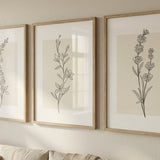 Ink Botanica