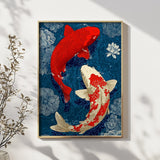 Red Koi Fish